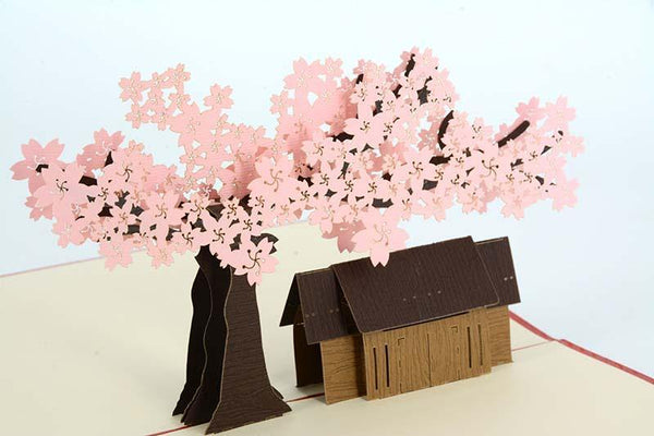 Cherry Blossom - Sakura - Henry Pop-Up Cards
