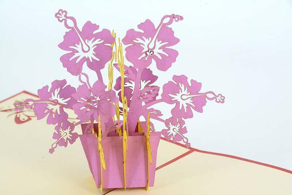 Rose Mallow - Henry Pop-Up Cards