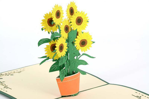 Thank You Sun Flower - Henry Pop-Up Cards
