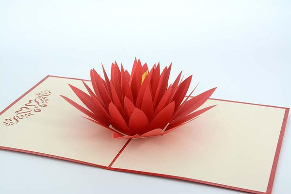 Water Lily - Henry Pop-Up Cards