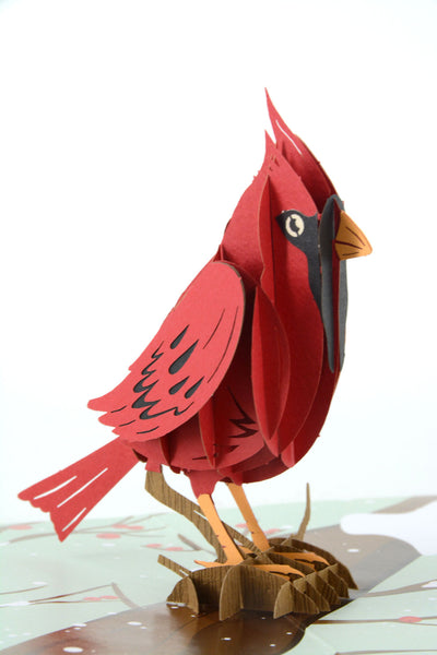 Cardinal Bird 12x18