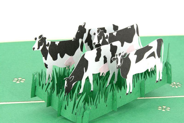White Cow - Henry Pop-Up Cards