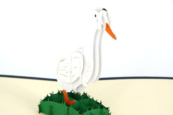 Duck - Henry Pop-Up Cards