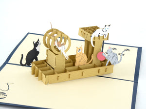 5 cats playing