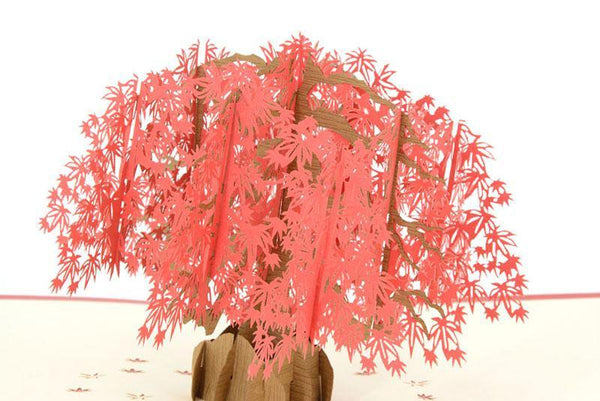 Japenese Red Maple Tree - Henry Pop-Up Cards