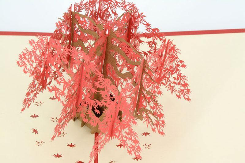 Japenese Red Maple Tree – Henry Pop-Up Cards