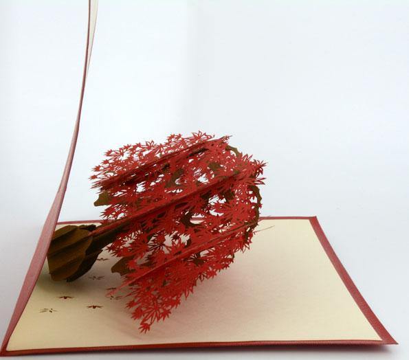 Japenese Red Maple Tree - Henry Pop-Up Cards