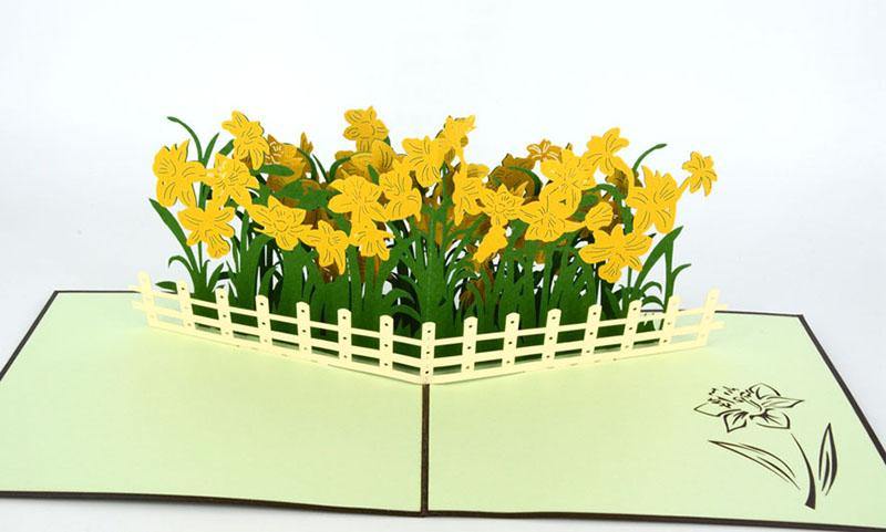 Narcissus Flower - Henry Pop-Up Cards