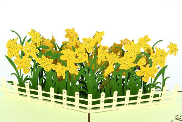 Narcissus Flower - Henry Pop-Up Cards