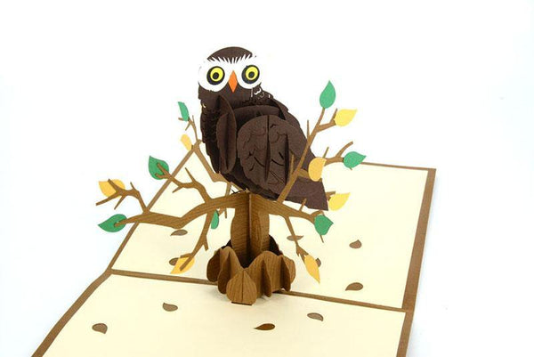 Owl 3D - Henry Pop-Up Cards
