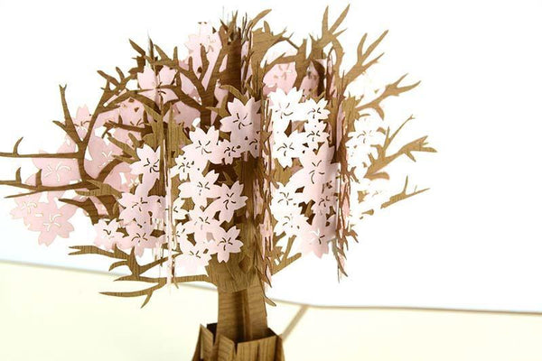 Pink Cherry Blossom 3D - Henry Pop-Up Cards