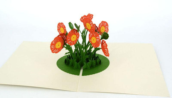 Poppy Flower - Henry Pop-Up Cards