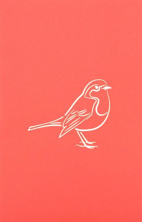 Robin – Henry Pop-Up Cards
