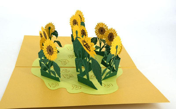 Sunflower garden - Henry Pop-Up Cards