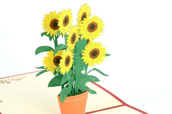 Sunflower - Henry Pop-Up Cards