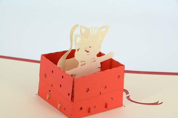 Two Cats in box Happy birthday - Henry Pop-Up Cards