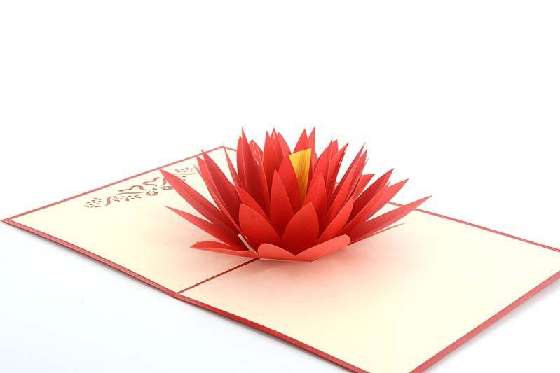 Water Lily - Henry Pop-Up Cards